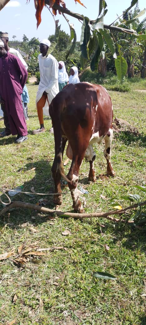 DHUHIA PREPARATIONS